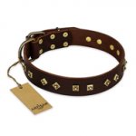 "Fashion Studs" FDT Artisan Decorated Leather dog Collar with Old Bronze-Plated Steel Hardware