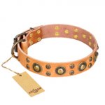 "Sophisticated Glamor" FDT Artisan Leather dog Collar with Fancy Old Bronze-like Plated Decorations