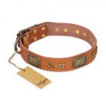 "Cosmic Traveller" FDT Artisan Adorned Leather dog Collar with Old Bronze-Plated Stars and Plates