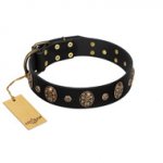 Pirate's Spell' FDT Artisan Black Leather dog Collar with Engraved Studs and Medallions