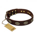 "Chocolate kiss" FDT Artisan Leather dog Collar with Old Bronze Look Oval Plates
