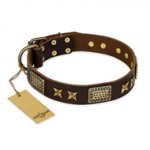 "Sparkling Bronze" FDT Artisan Genuine Leather dog Collar with Bronze Look Stars and Plates