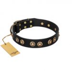 "Golden Artifact" FDT Artisan Black Leather dog Collar with Old-bronze Covered Medallions