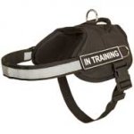 Nylon Dog Harness With Reflective Straps for Training, Walking, Police Service, SAR and More