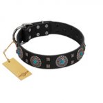"Boundless Blue" FDT Artisan Black Leather dog Collar with Chrome Plated Brooches and Square Studs