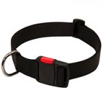 Nylon Dog Collar with quick release buckle