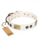 "Sweet Melody" FDT Artisan White Leather dog Collar with Plates and Ornamented Studs
