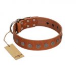 "Lucky Star" Handmade FDT Artisan Designer Tan Leather dog Collar with Round Plates