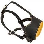 Leather muzzle-Anti-barking Padded muzzle