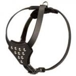 Unique Leather Puppy Harness for Prosperous Education / Growth