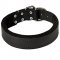 Durable Padded Leather Collar