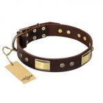 "Rich Fashion" FDT Artisan Decorated Leather dog Collar with Plates and Studs