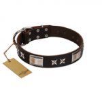 "Satin Beauts" FDT Artisan Brown Leather dog Collar with Stars and Plates