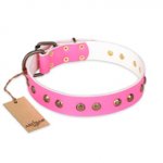 "Pink Pleasure" FDT Artisan Decorated Leather dog Collar with Old Bronze-Plated Engraved Studs