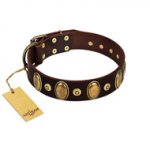 "Retro Pusle" FDT Artisan Brown Leather dog Collar with Old Bronze-like Studs and Oval Brooches