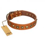 "Prez of the Pack" FDT Artisan Tan Leather dog Collar with Skulls and Brooches