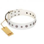 "Drops on Snow" Handmade FDT Artisan White Leather dog Collar Adorned with Silver-Like Studs