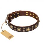 "Flower Melody" FDT Artisan Brown Leather dog Collar with Mixed Studs