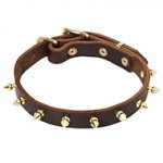 Golden Spikes Leather Walking Collar