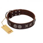"Silver Sunset" Designer Handmade FDT Artisan Brown Leather dog Collar