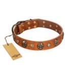"Call of Feat" FDT Artisan Tan Leather dog Collar with Old Bronze-like Studs and Oval Brooches