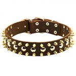 Designer Leather Spiked and Studded Dog Collar