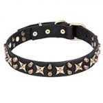 Leather Dog Collar "Hollywood Star" with Stars and Pyramids -1 1/4 inch (30 mm) wide