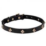 Leather Dog Collar 'Rhombi' with Brass Decorations