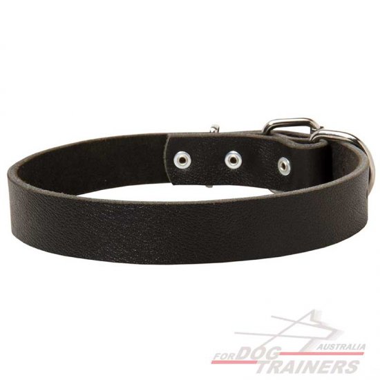 Elegant Smooth Leather Dog Collar