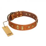 "Sand of Time" FDT Artisan Tan Leather dog Collar with Old Bronze-like Studs and Plates