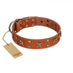 "Faraway Galaxy" FDT Artisan Tan Leather dog Collar Adorned with Stars and Squares