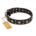 "Cosmic Glow" FDT Artisan Black Leather dog Collar with Brass-Plated Studs