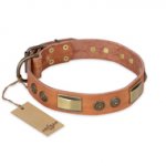 "Lost Desert" FDT Artisan Leather dog Collar with Brass Decorations