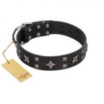 "Star Excitement" Modern FDT Artisan Black Leather dog Collar with Studs and Stars