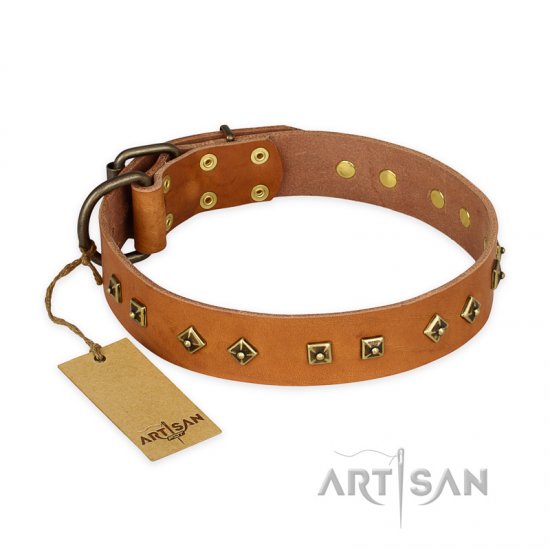 "Autumn Story" FDT Artisan Leather dog Collar with Old Bronze Look Studs - Sulje napsauttamalla kuva