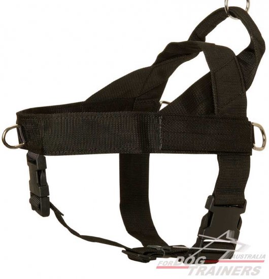 All Weather Professional Training Nylon Dog Harness for Working Dogs