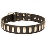 Gorgeous Leather Dog Collar with Plates