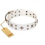 "Starry Heaven" Designer Handcrafted FDT Artisan White Leather dog Collar with Stars and Studs