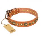 "Feast of Luxury" FDT Artisan Tan Leather dog Collar with Old Bronze Look Circles