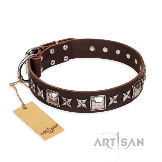 "Perfect Impression" FDT Artisan Brown Leather dog Collar with Silvery Square Studs - Click Image to Close