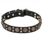 1 1/5 inch (30 mm) wide Leather Dog Collar "Boho Style" with Brass Decorations