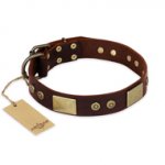 "Shining Armour" FDT Artisan Brown Leather dog Collar with Decorations