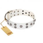 "Edgy Look" FDT Artisan White Leather dog Collar with Silver-like Skulls