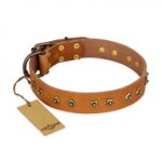 "Autumn Story" FDT Artisan Leather dog Collar with Old Bronze Look Studs