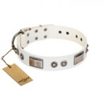 "Good-Luck Piece" FDT Artisan White dog Collar Adorned with Chrome Plated Studs and Plates