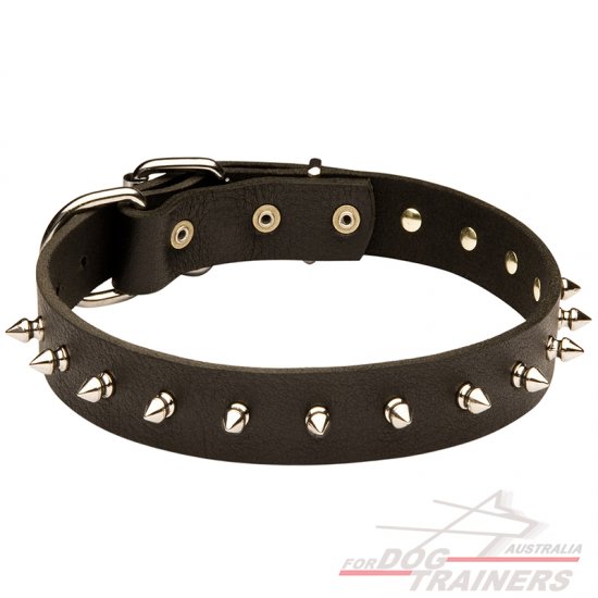 Leather Spiked Dog Collar - Sulje napsauttamalla kuva