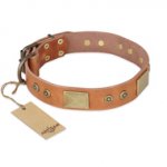 "The Middle Ages" FDT Artisan Handcrafted Tan Leather dog Collar