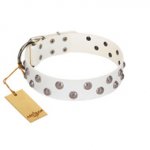 "Wild Flora" FDT Artisan White Leather dog Collar with Silver-like Engraved Studs
