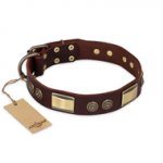 "Golden Stones" FDT Artisan Brown Leather dog Collar with Old Bronze Look Plates and Circles