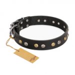 "Jewelry Peas" FDT Artisan Decorated Black Leather dog Collar